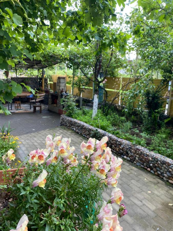 Guest House Mari Ureki Exterior photo