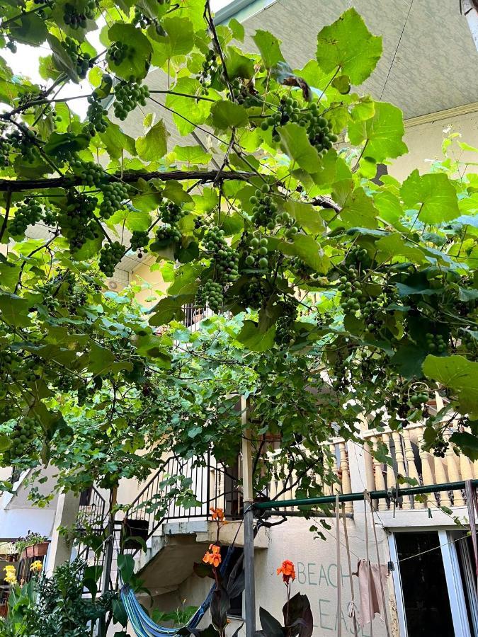 Guest House Mari Ureki Exterior photo